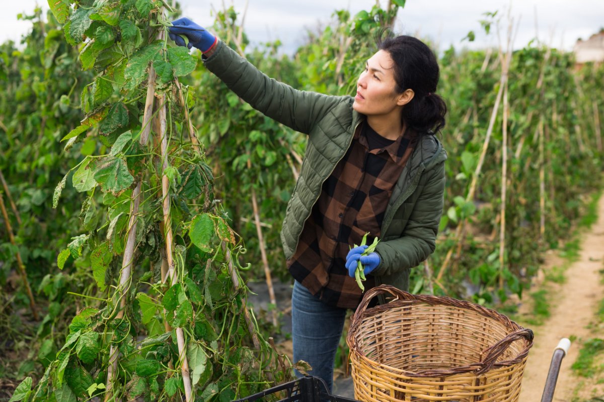 Agri Business & Cultivation
