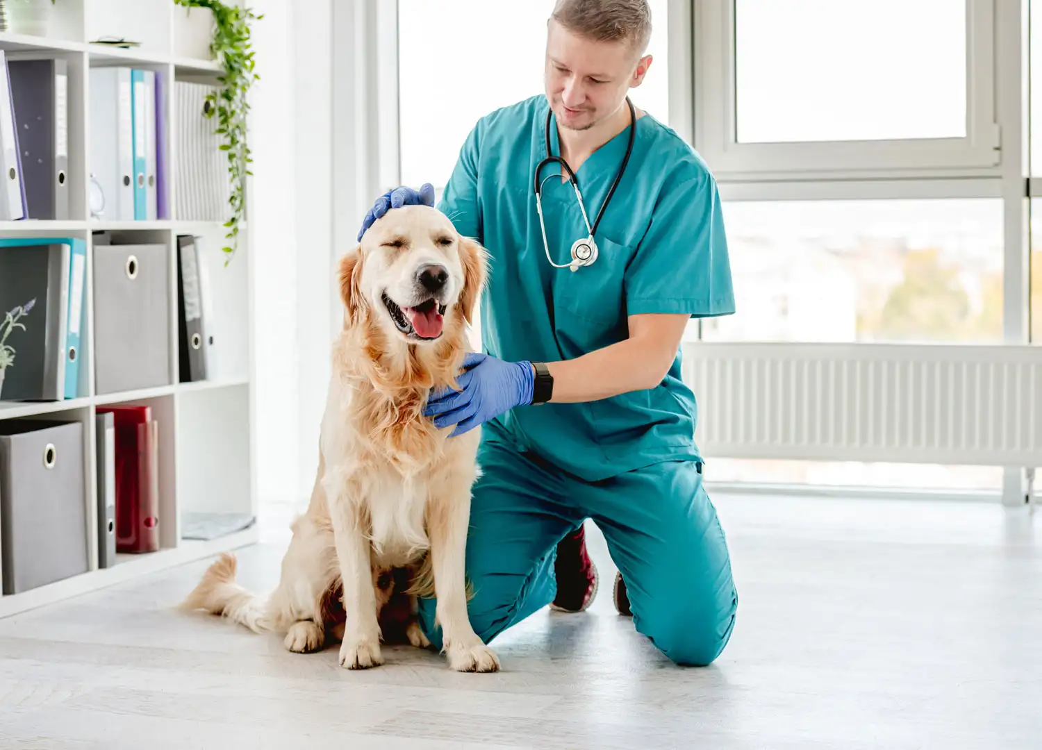 Animal Care & Pet Services